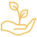 Eco-Friendly Solutions